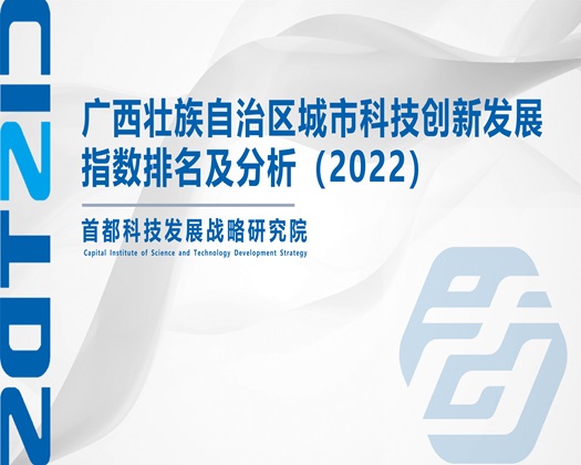 国产女生舔胸操逼【成果发布】广西壮族自治区城市科技创新发展指数排名及分析（2022）